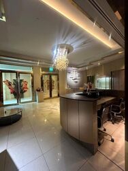 Furama Riverfront (D3), Retail #639407041